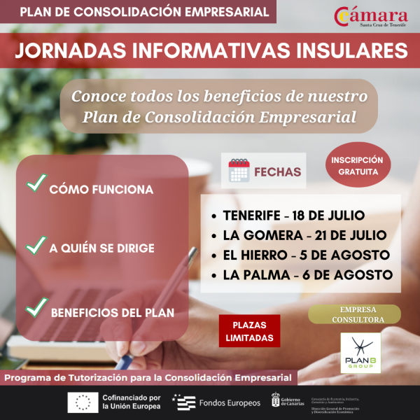 Plan de Consolidación Empresarial 2025